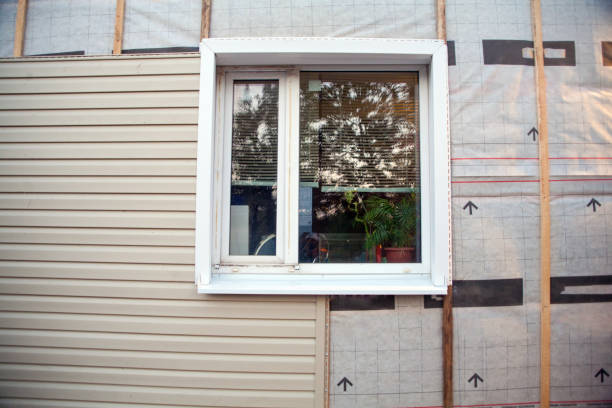 Best Custom Siding Design  in Newark, IL