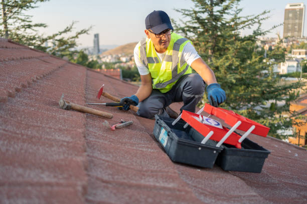 Best Stucco Siding  in Newark, IL