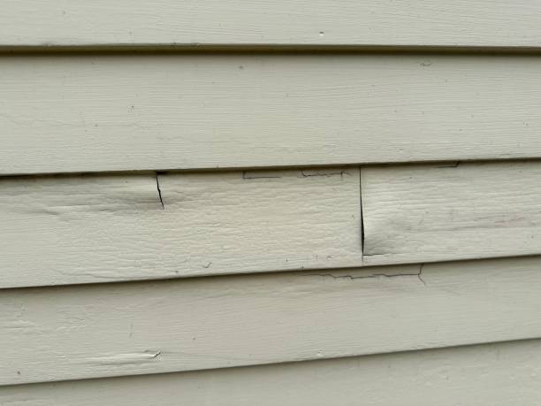 Trusted Newark, IL Siding Installation & Repair Experts